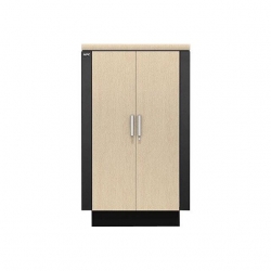 APC Netshelter AR4024IA SCHRANK CX 24 HE