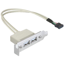 Delock SB USB 2.0 Low Profile 2 Port