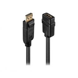 Lindy Adapterkabel DisplayPort nach HDMI