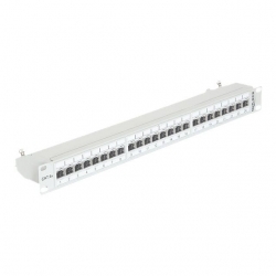 Delock 19 Patchpanel 24 Port Cat. 6a grau"