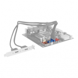 Delock Konverter M.2 Key B+M St > 2 x USB 3.0