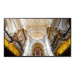 Samsung 65 QB65N LED-Display schwarz"