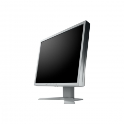 EIZO FlexScan 19 S1934H-GY LED-Monitor"