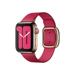 Apple Zubehör Watch 40mm Himbeere Modern Buckle Small Armban