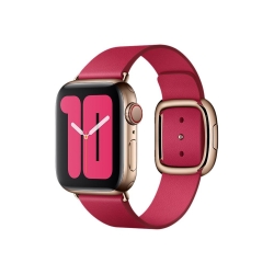 Apple Zubehör Watch 40mm Himbeere Modern Buckle Large Armban