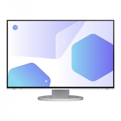EIZO FlexScan 24 EV2485-WT Office-Monitor"