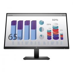 HP P24q G4 23.8 QHD LED-Monitor"