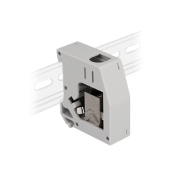 Delock Hutschienenadapter mit Keystone Modul RJ45 Bu zu RJ45