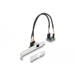Delock MiniPCIe I/O PCIe