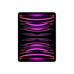 Apple iPad Pro 12.9 Wi-Fi 256GB Spacegrau 6. Gen."
