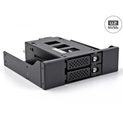 Delock Slim Bay Wechselrahmen für 2 x 2.5 U.2 NVMe SSD"