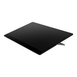 RICOH Portable Monitor 150